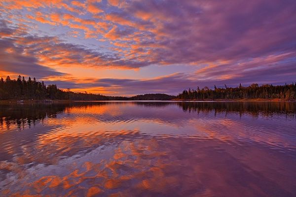 Canada-Ontario-Kenora District Forest autumn colors reflect on Middle Lake at sunrise